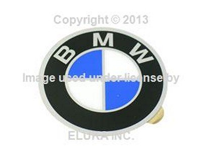 Doors BMW BMW1181106