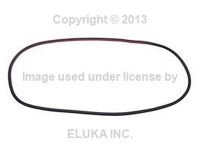 2 X BMW Genuine Rear Left Right Door Seal Weather Strip for 323i 325i 325xi 328i 328xi 330i 330xi 335i 335xi M3 323i 328i 328xi 335d 335i 335xi M3 Custom Fit BMW BMW7060245