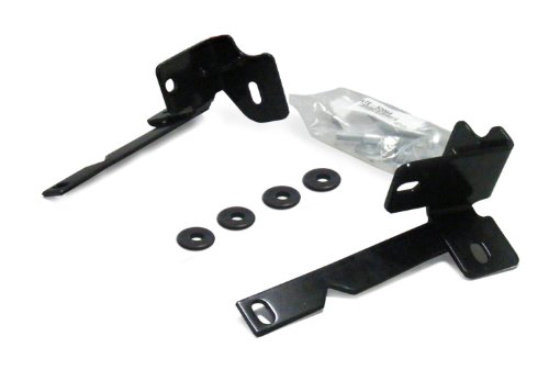 Grille & Brush Guards Go Rhino! 55965