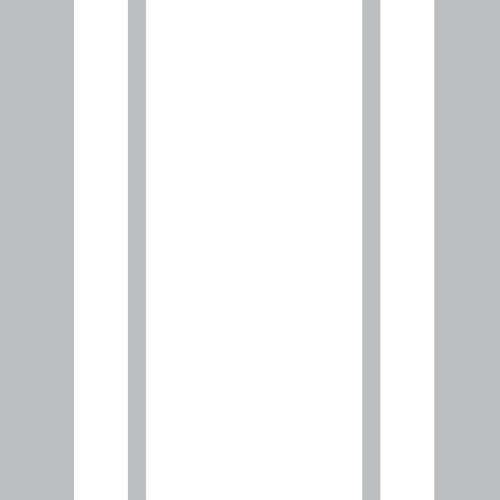 THE JIM 3 wide Custom made Racing Stripes *PREMIUM 12 YEAR VINYL STRIPE (White #302) sold by the stripe (order as many as needed) Car Truck Van Boat Auto Vehicle Graphic Decal (custom made to order by 1060 graphics) Decals 1060 graphics 1