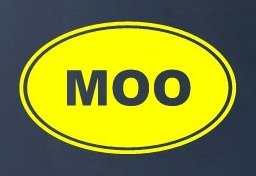 MOO - Cow Farm - Vinyl Car Decal Sticker #1542 | Vinyl Color: Yellow Decals StickyChimp SC-Batch-C-2884