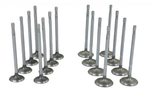 Intake Valves Diamond Power VS023