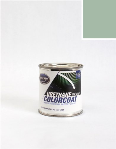 Touchup Paint ColorRite AUTO-485-10087-HPINT-C