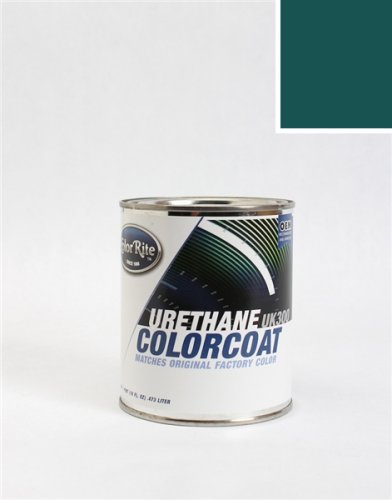 Touchup Paint ColorRite AUTO-485-10090-PINT-C