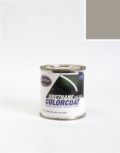 ColorRite Toyota Truck Automotive Touch-up Paint - Gray Pearl Metallic Clearcoat (Cladding) 196 - Color-Only Package Touchup Paint ColorRite AUTO-564-12087-HPINT-C