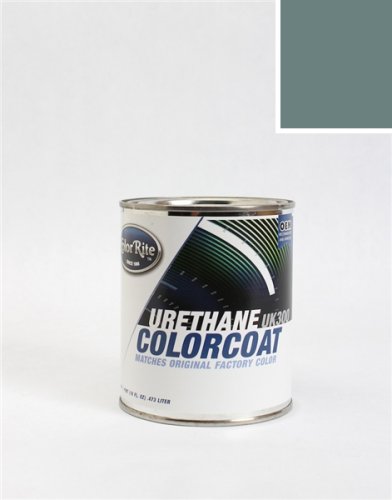 Touchup Paint ColorRite AUTO-485-10034-PINT-C