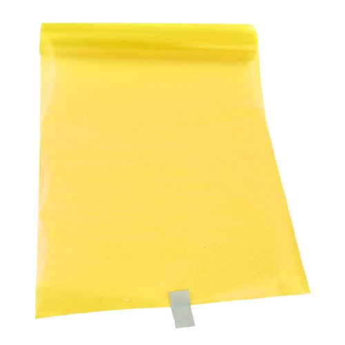 Running Board Lights Amico a13102400ux0442