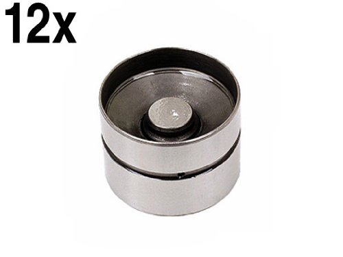 Audi vw (92-02) Hydraulic Valve Lifter (x12) oem I.N.A. Lifters INA 12257990656x12