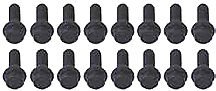 The Parts Place Chevrolet Big Block Intake Manifold Bolt Set - Pieces Intake Manifolds & Parts The Parts Place Inc. CB6000V
