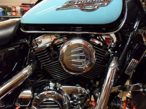 Cobra Chrome Cover Insert Scalloped, 06-0001 Categories Parts Unlimited BLV60001