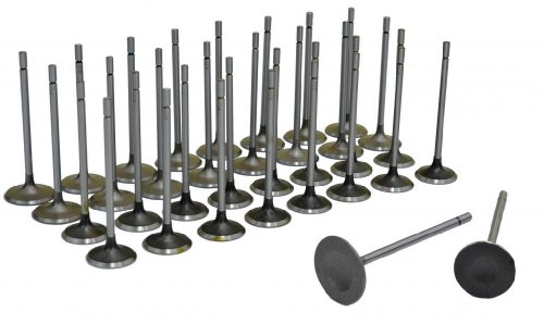 Intake Valves Diamond Power VS093