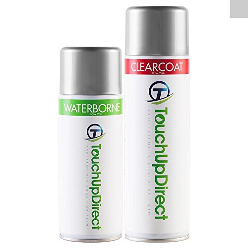 2002 Honda VTX1800C Motorcycle Touch-Up Paint EcoSpray+ Aerosol - Orion Silver Metallic NH451M - Basic Package Touchup Paint TouchUpDirect TUD-1132-2002-M-AERO-95501-PKG-BB