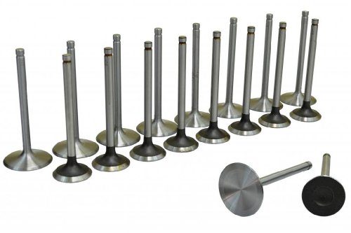 Intake Valves Diamond Power VS104