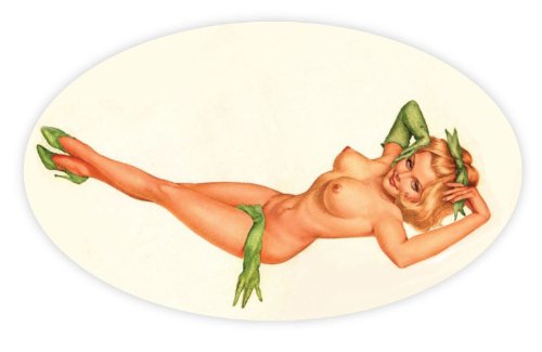 Bumper Stickers, Decals & Magnets  