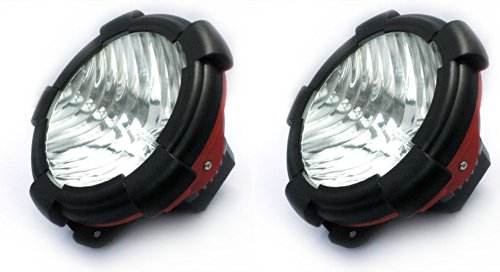 Bulbs Pandamoto HYT111112698