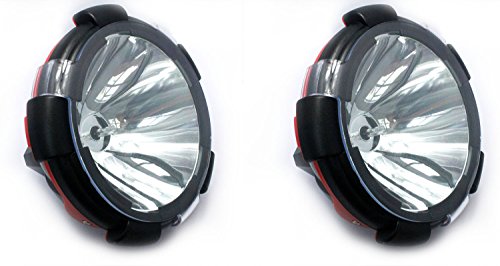 Bulbs Pandamoto HYT111116584