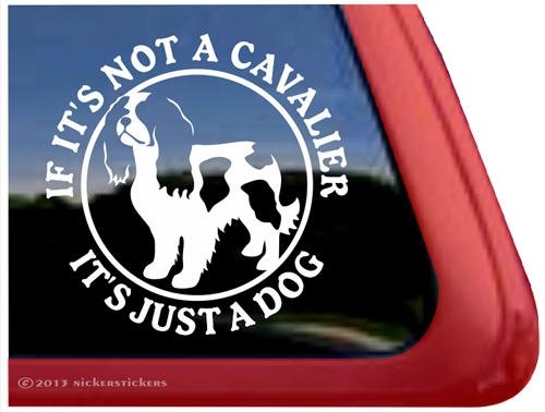 Bumper Stickers, Decals & Magnets NickerStickers DC331JAD