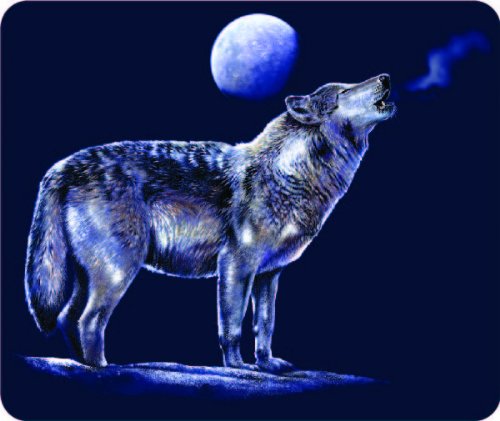 Bumper Stickers, Decals & Magnets  