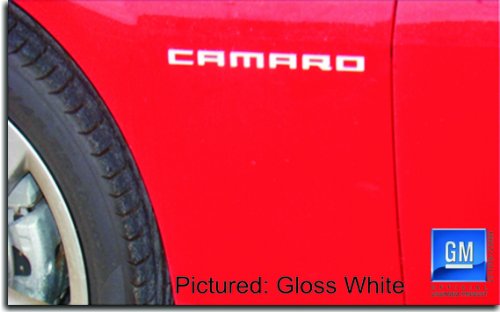 Decals Reflective Concepts FBK 2010camfenderbfbm