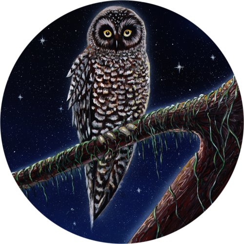 Tire Covers Tire Cover Central Owl #2 Spare Tire Cover