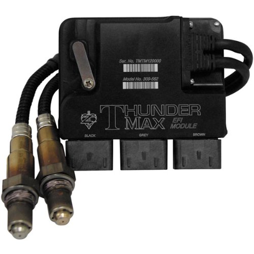 Electronic Ignition Thunder Heart 309-562
