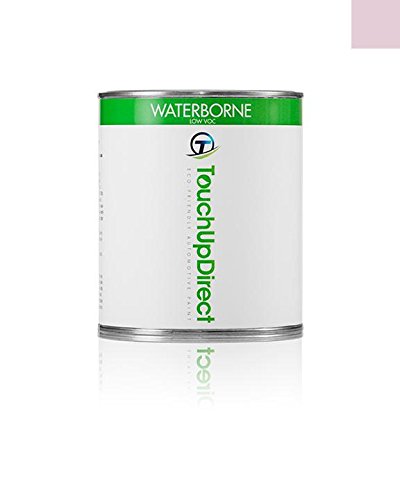 Touchup Paint TouchUpDirect TUD-501-PINT-53027-PKG-PP