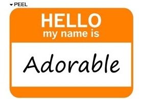 Decals StickyChimp SC-Batch-D-2932