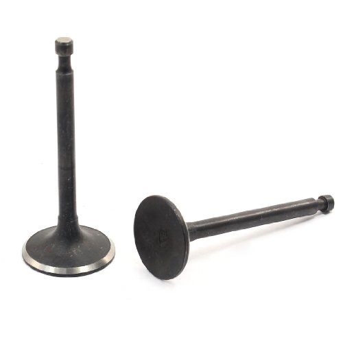 Exhaust Valves uxcell a13112700ux0121