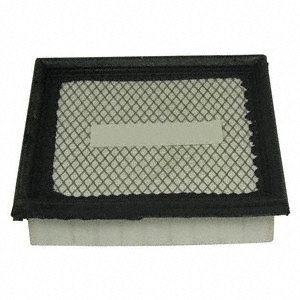 Ecogard XA4339 Air Filter Air Filters EcoGard XA4339