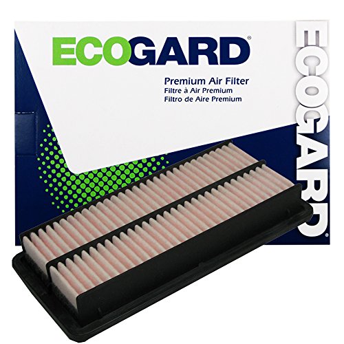 Air Filters EcoGard XA5802