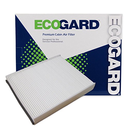 Air Filters EcoGard XC36174