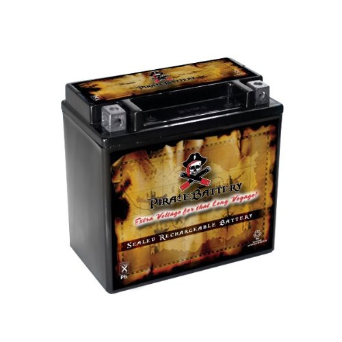 Batteries Pirate Battery YTX14L-BS