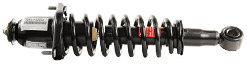 Struts Monroe 171373R