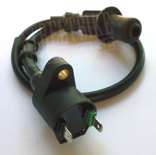 Ignition Coils SBW 2631-4128