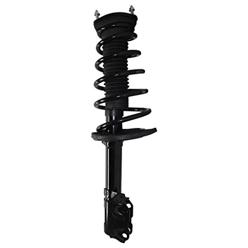 Struts Detroit Axle 172208