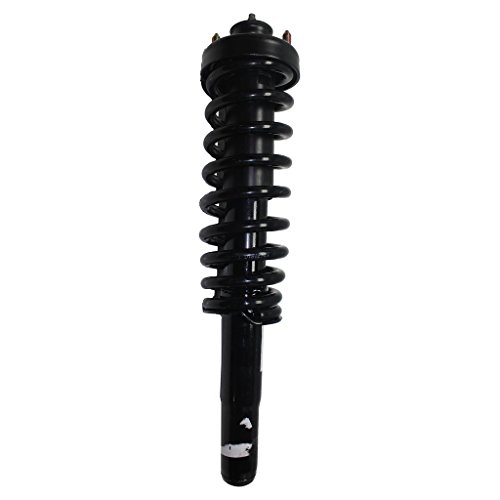 Struts Detroit Axle 171583L