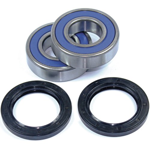 Bearings Caltric BR101+BR101+SL169+SL169/3