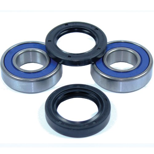 Bearings Caltric BR106+BR106+SL111+SL110/1