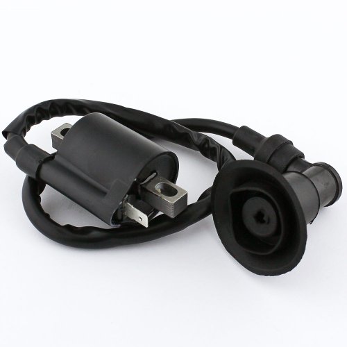 Ignition Coils Caltric IC123/2