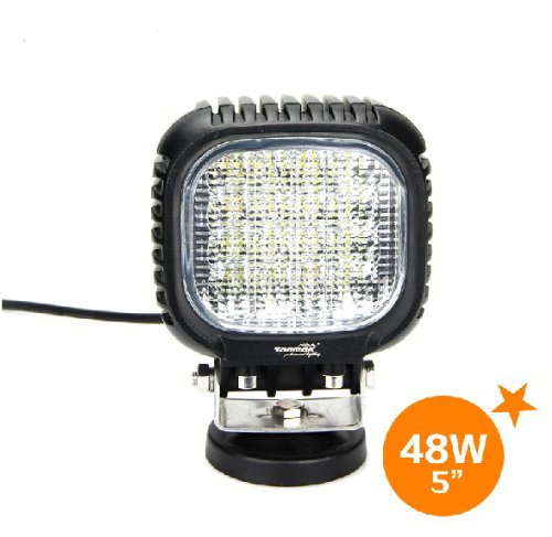 Bulbs Generic B10002112