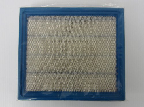 Air Filters Polaris 7081889