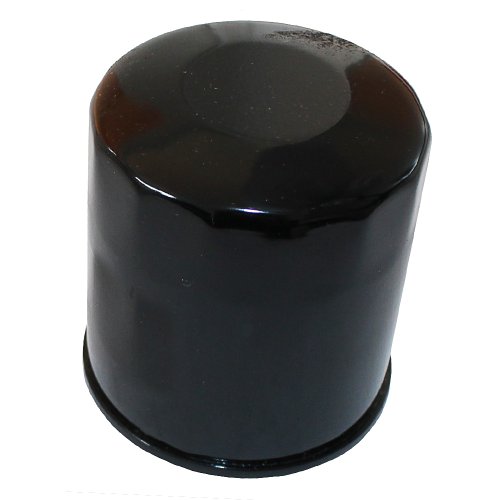 Oil Filters Caltric FL135/13