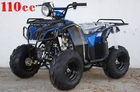Vehicles TaoTao ATA-110D-Blue