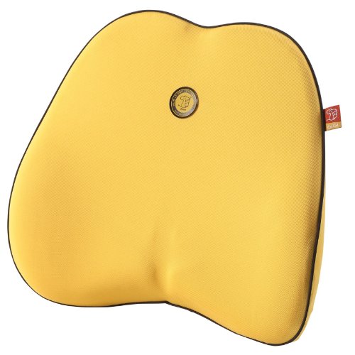 GiGi Flat Memory Foam Lumbar Pad Cushion Accessories GiGi 1078y