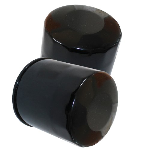 Oil Filters Caltric FL135+FL135/64