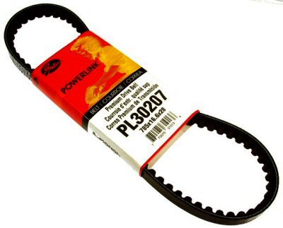 Belts ScootsUSA 106-74-4215