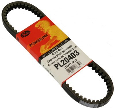 Belts ScootsUSA 106-94-4237