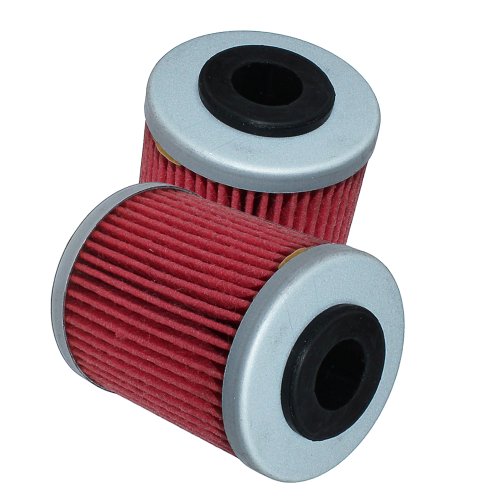 Oil Filters Caltric FL106+FL106/9