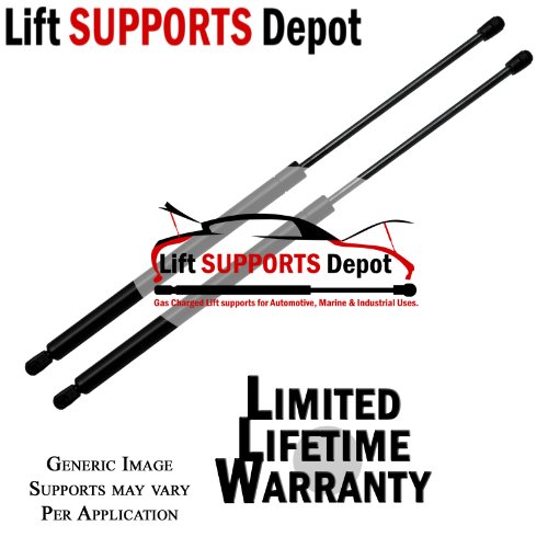 Lift Supports Lift Supports Depot PM3059