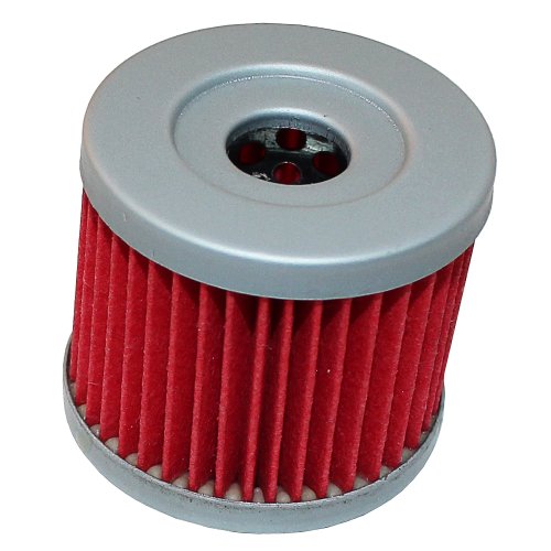 Oil Filters Caltric FL100/6